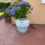 Un Paradiso A Sorrento Con Piscina Apartment *