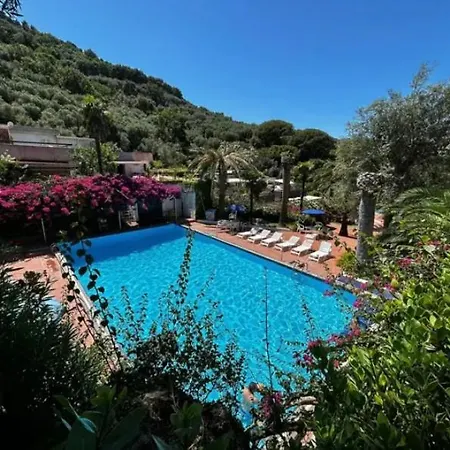 Un Paradiso A Sorrento Con Piscina *
