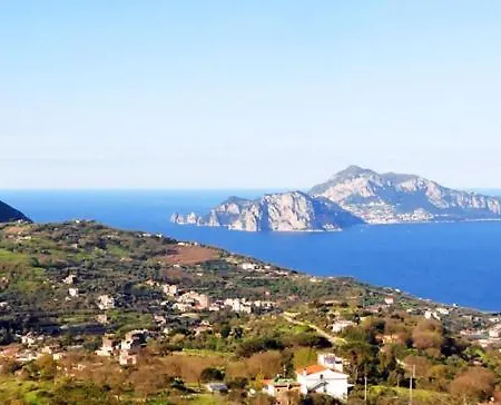 Un Paradiso A Sorrento Con Piscina * Massa Lubrense