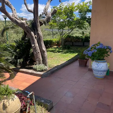 Un Paradiso A Sorrento Con Piscina Apartment *
