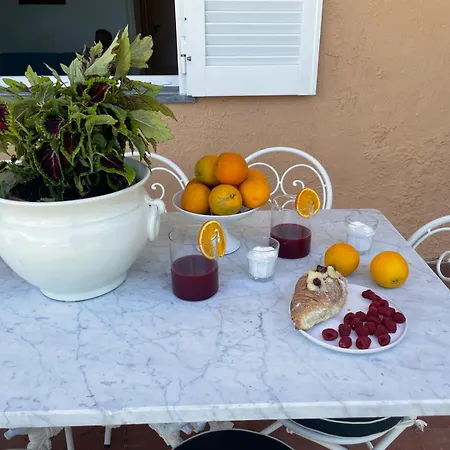 Un Paradiso A Sorrento Con Piscina Apartment