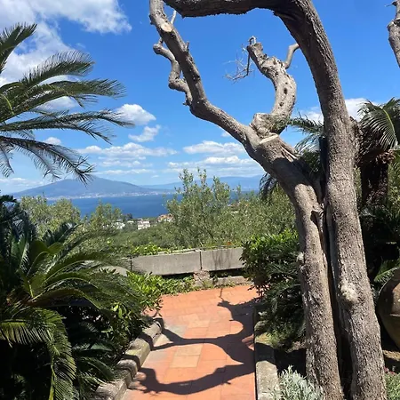 Un Paradiso A Sorrento Con Piscina Apartment Massa Lubrense