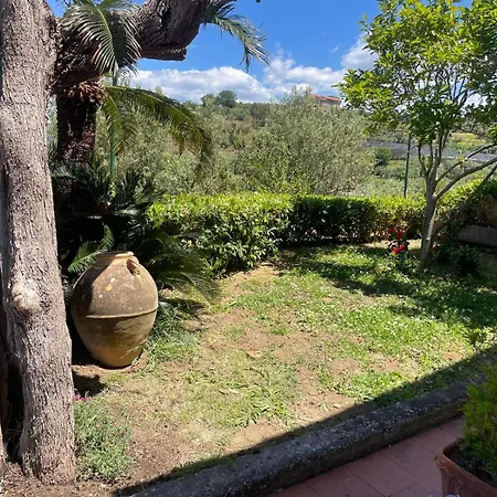 Un Paradiso A Sorrento Con Piscina *