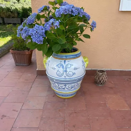 Un Paradiso A Sorrento Con Piscina Apartment *