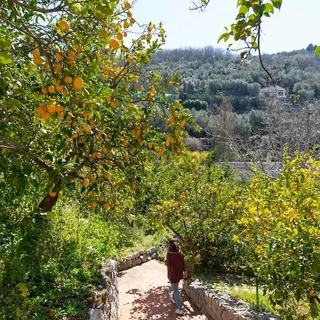Un Paradiso A Sorrento Con Piscina