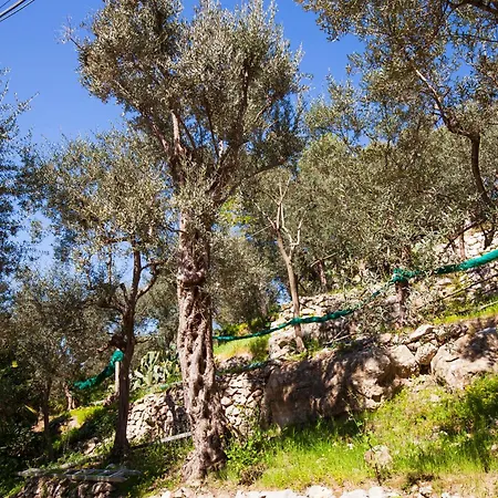Appartement Un Paradiso A Sorrento Con Piscina Massa Lubrense