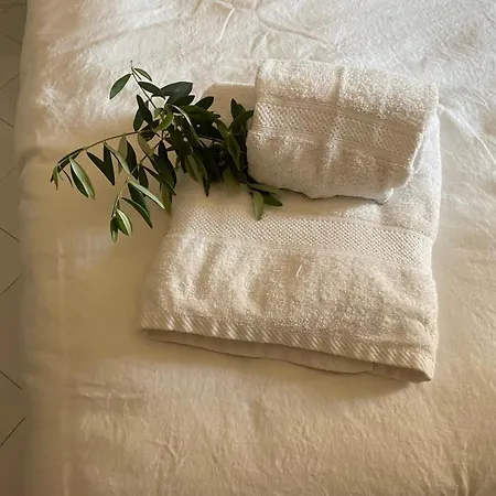 Un Paradiso A Sorrento Con Piscina Appartement *