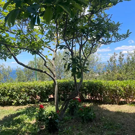 Un Paradiso A Sorrento Con Piscina Appartement *