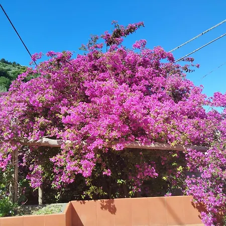Appartement Un Paradiso A Sorrento Con Piscina