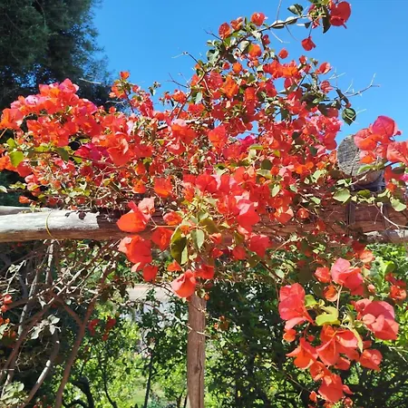 Appartement Un Paradiso A Sorrento Con Piscina Massa Lubrense