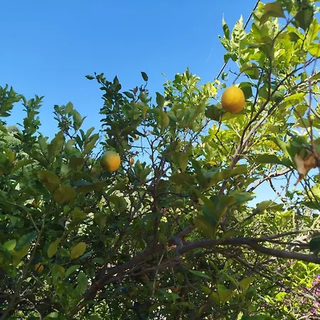 Un Paradiso A Sorrento Con Piscina Massa Lubrense